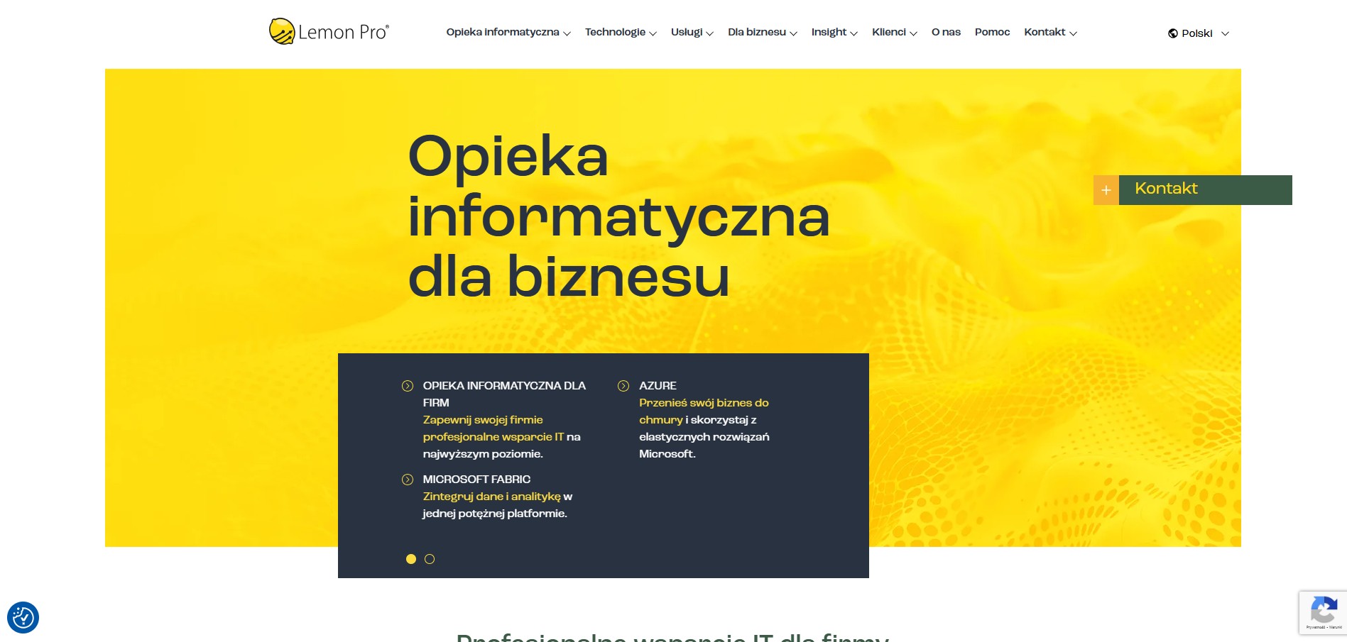 /works/lemon-pro/lemon-pro-image-1/