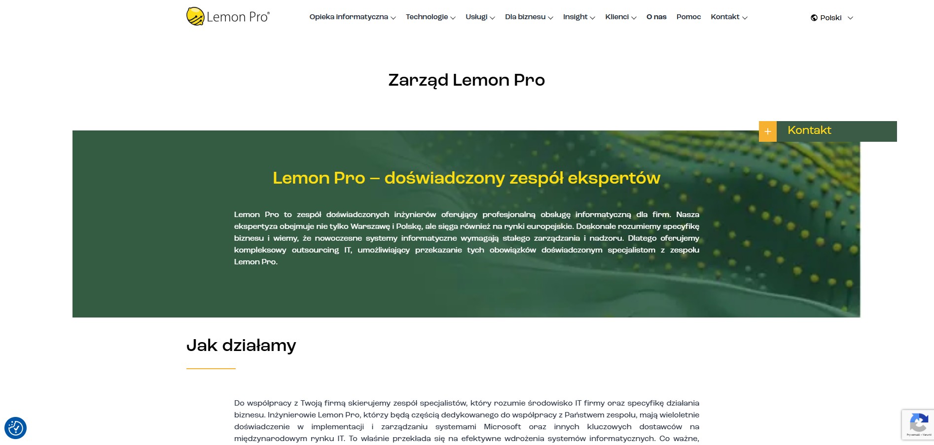 /works/lemon-pro/lemon-pro-image-3/